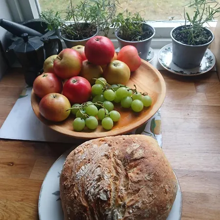 Nabbvollen *